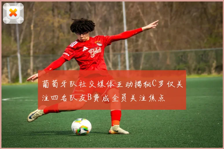 葡萄牙队社交媒体互动揭秘C罗仅关注四名队友B费成全员关注焦点
