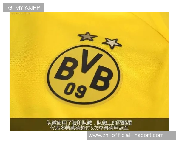 2025年欧洲足球俱乐部场均上座数排行榜揭晓多特蒙德名列第一